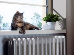 indoor air quality decreases with pets