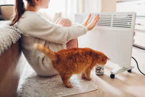 HVAC system maintenance with pet